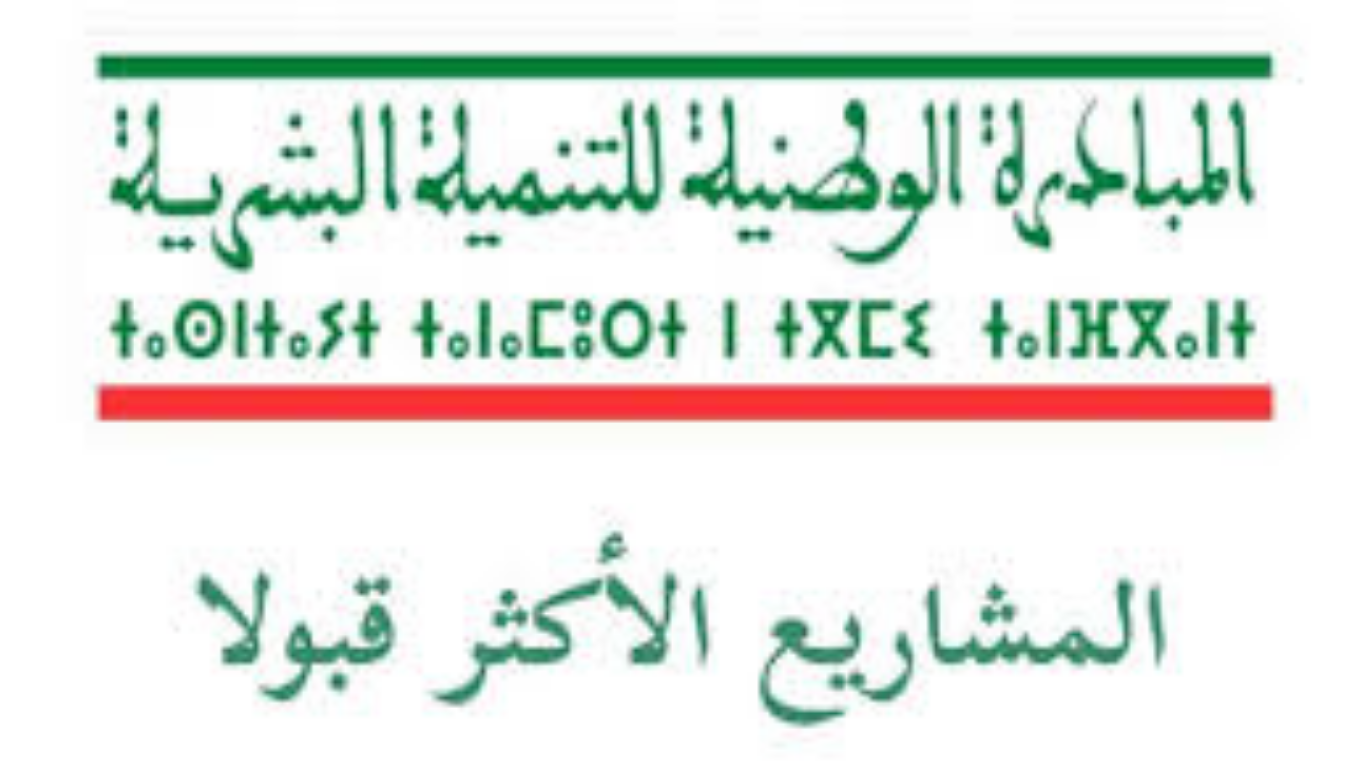 المغرب يعلن عن دعم 10 مليون سنتيم لإنشاء مشروع صغير سنة 2025
